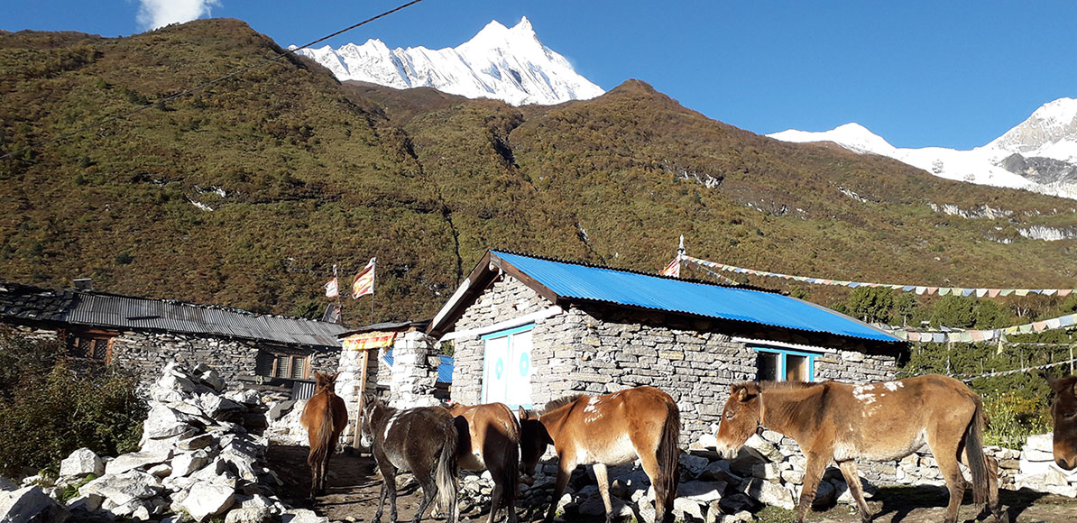 Experience The Best Of Manaslu Circuit And Poon Hill Sunrise Trek With Friends